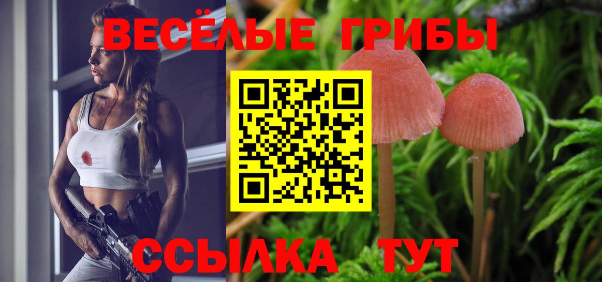 Галлюциногенные грибы GOLDEN TEACHER Махачкала