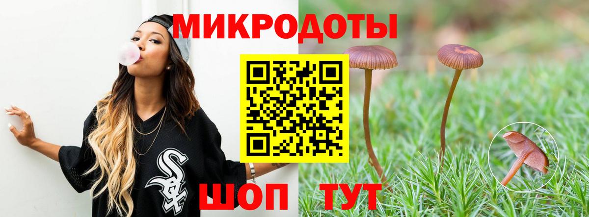 Псилоцибиновые грибы Magic Shrooms  Вход с VPN  сколько стоит  Псилоцибиновые грибы Magic Shrooms  Махачкала 